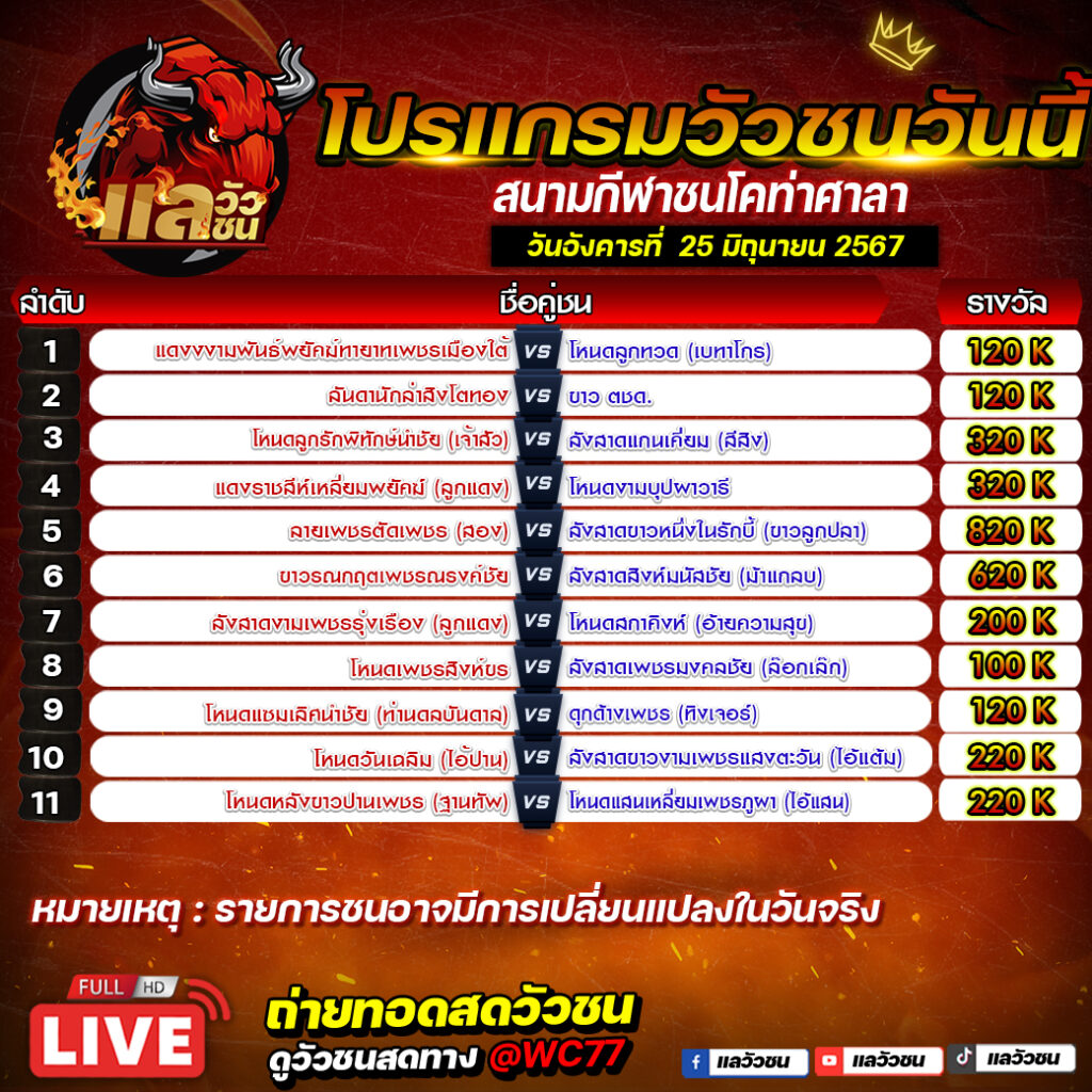 โปรแกรมวัวชน สนามชนโคท่าศาลา