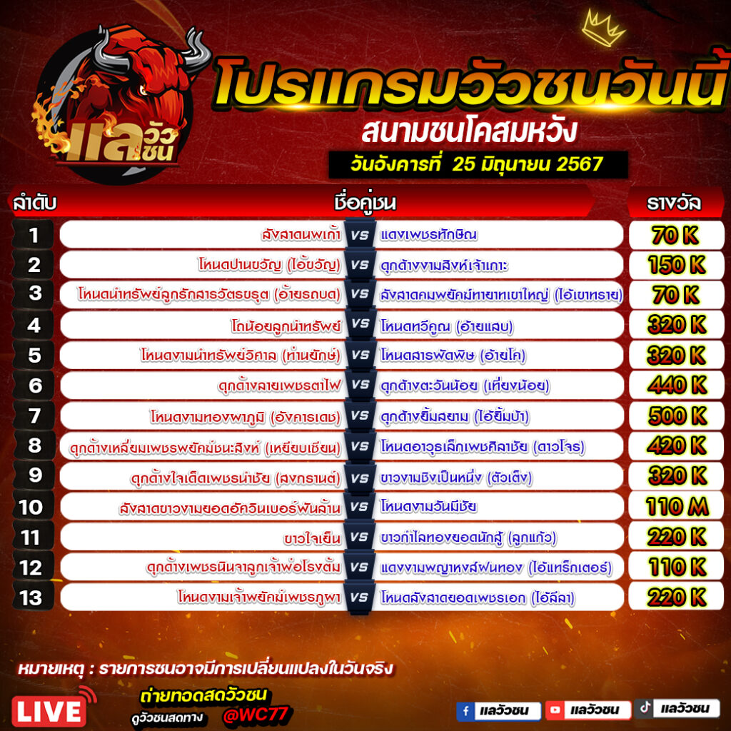 โปรแกรมวัวชน สนามชนโคสมหวัง