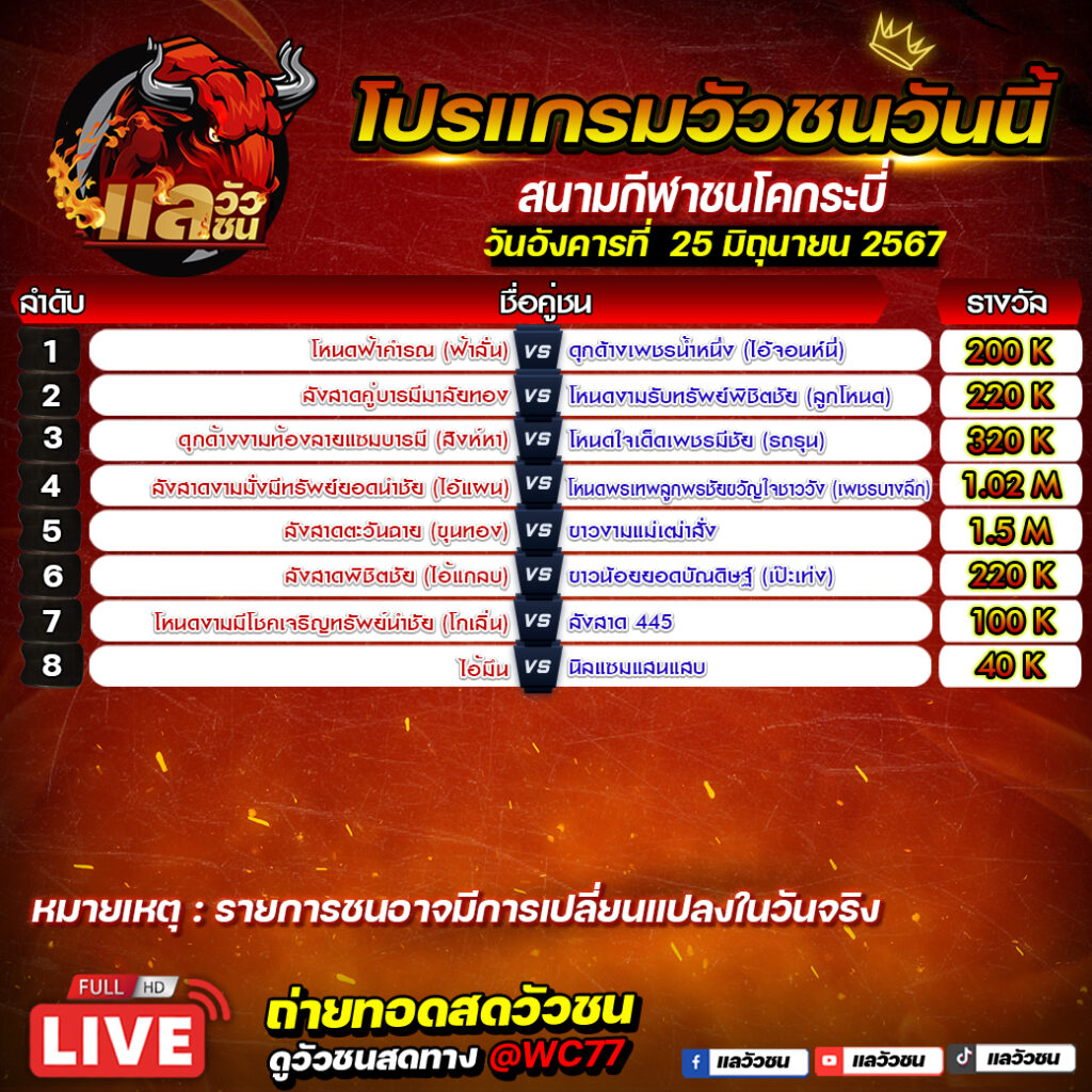 โปรแกรมวัวชน สนามชนโคกระบี่