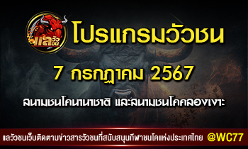 ปกวัว7-7-24