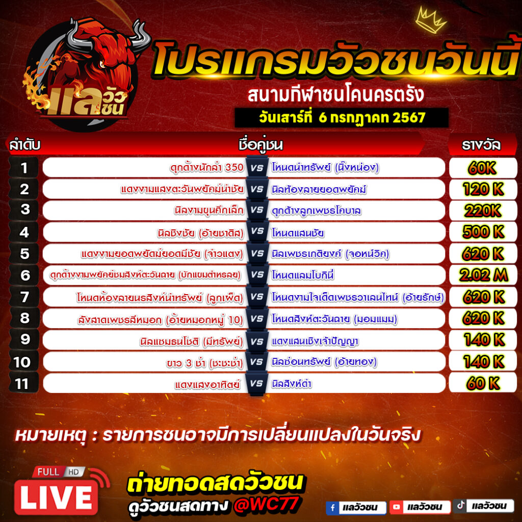 โปรแกรม-วัวชน6-7-24